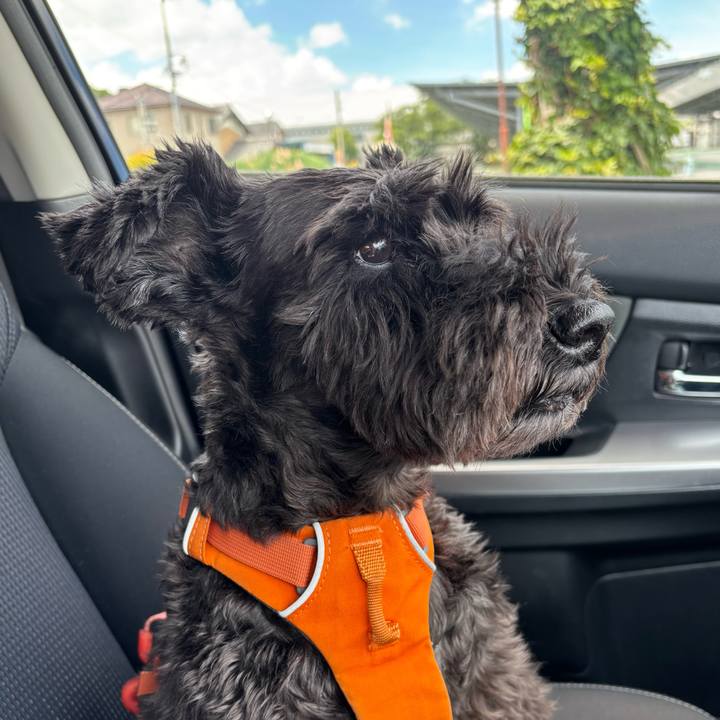 E14a275f 7c05 45b6 9e37 415996757109 1753590879846