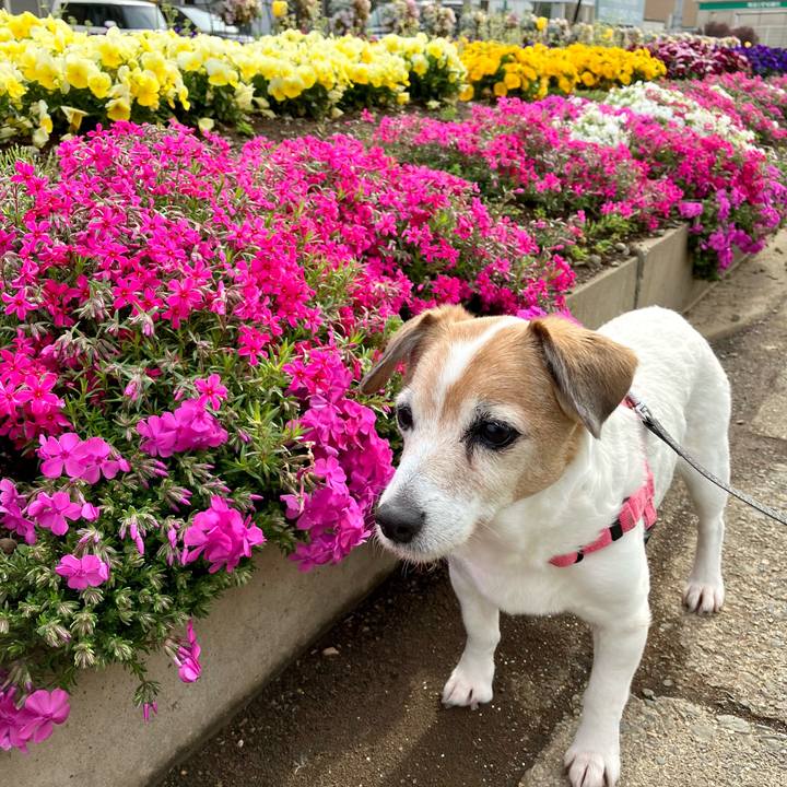 E14a4fb0 29ad 4652 a87b 6a67963fdc89 1713695430407