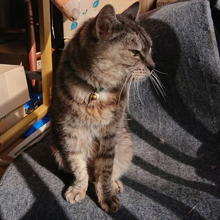 E14a6331 627e 4505 90e8 d64a97434461 1572755474690