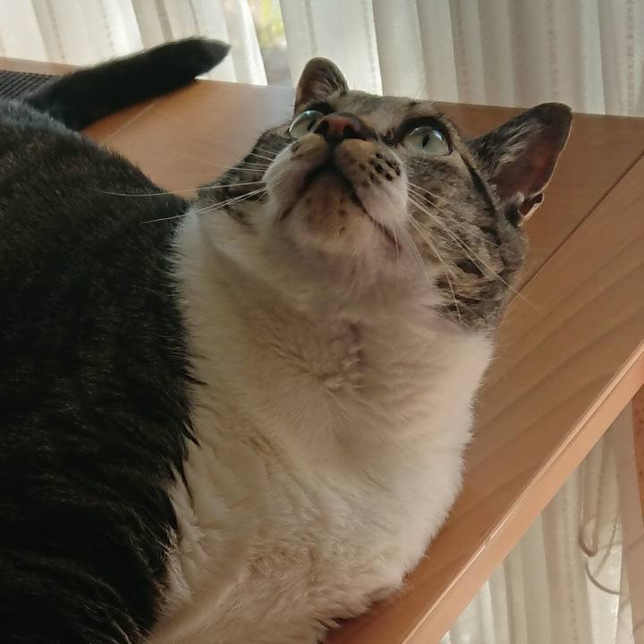 E14a9950 1ccf 4f48 a308 0b3dc2cb46e1 1525995107680