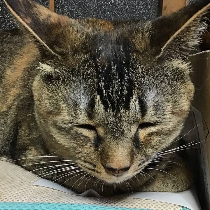 E14aa314 3415 4e02 93ac 130193bb4003 1657190251055