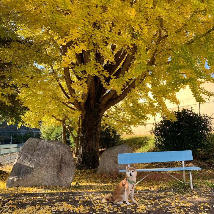 E14aa65e 0f9f 4176 84af f05f3598d6aa 1604564682200