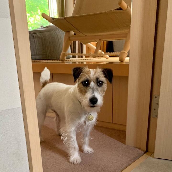 E14ac2b1 520f 4fe3 a9f6 3331c9749228 1620537422459