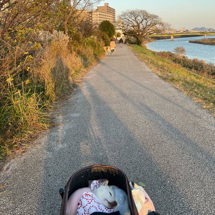 E14ad758 2711 45fd 8b48 c604186fc1bb 1671715466380