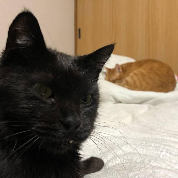 E14ae92d c778 4155 92a8 e7562303ec7b 1622124088272