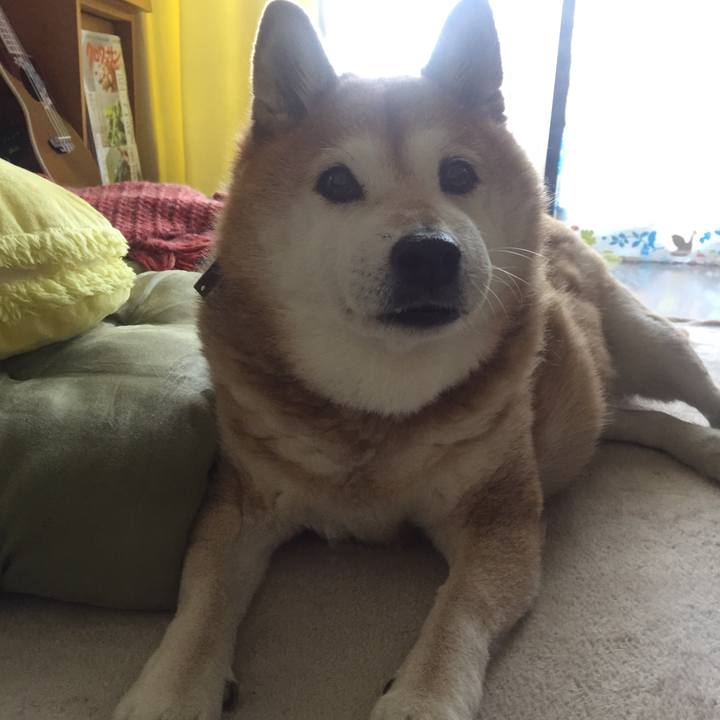 E14aff82 57af 48ea b424 06068657f835 1557874688158