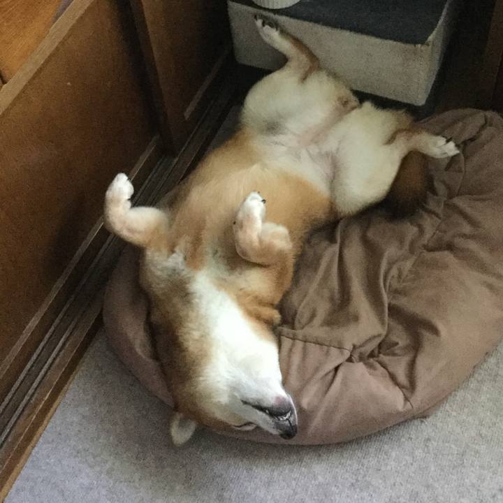 E14b2ab9 2dca 48c3 b9b3 702dd9f50989 1569372222495