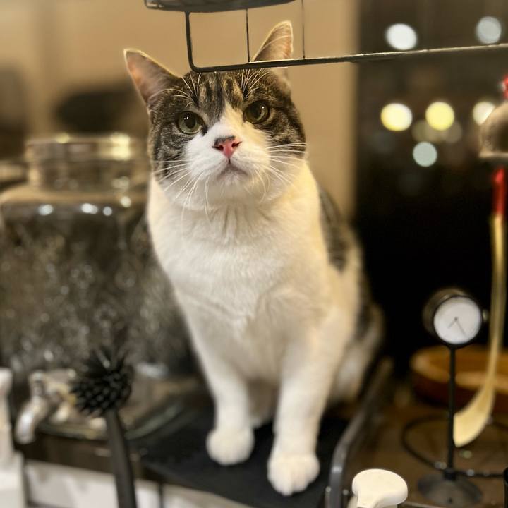 E14b2b26 1c24 4b86 b013 599d4828ef47 1765376299615