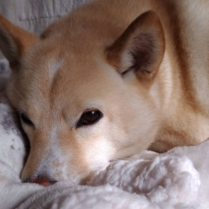 E14b9ab9 bf37 40d8 ab42 cf02a26dcfbe 1610074125640