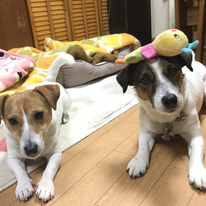 E14bea18 7b1a 4834 a330 04146cc55dbd 1549619533752