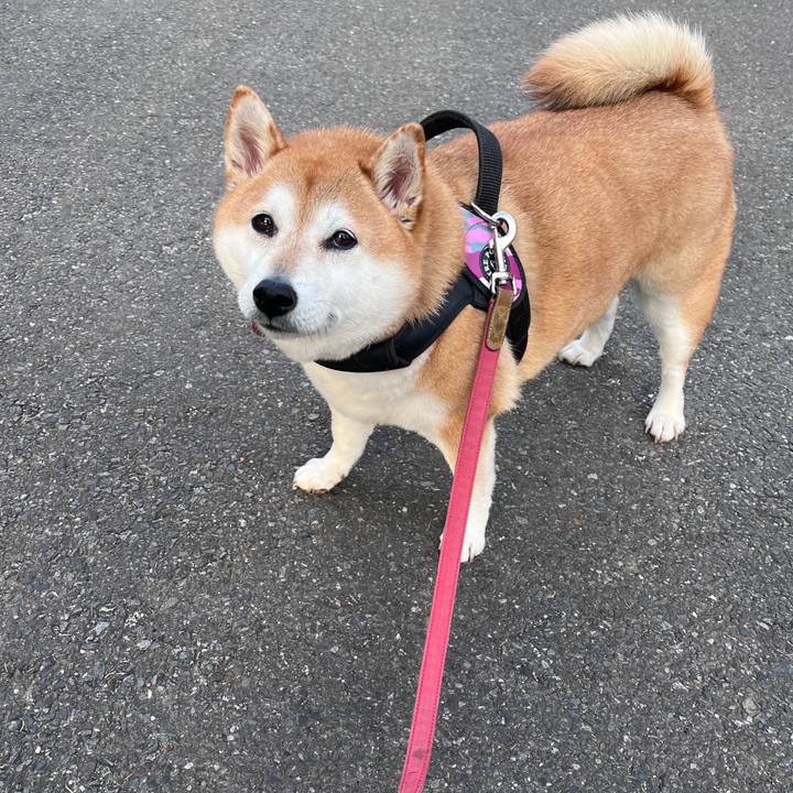 E14bf1da 8647 4cc1 a25e d7bfd104efd5 1703765041459