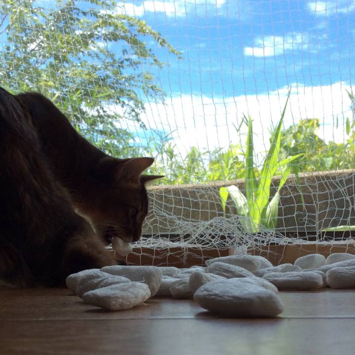 E14c0062 81ea 406b 89fd c3cf2f84f07e 1565053845566