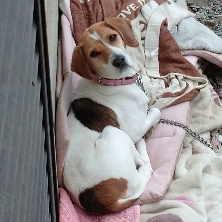 E14c1f51 7eac 4c06 865c 4a134aa065b1 1579853774368