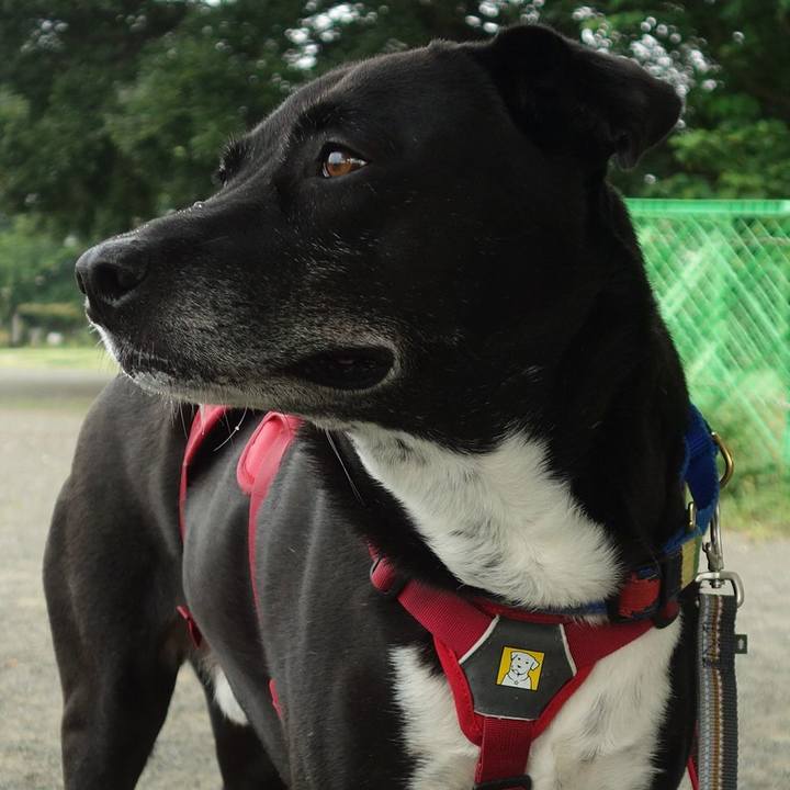 E14c4285 5390 48c5 bb9d 7ff76a645acc 1687826221626