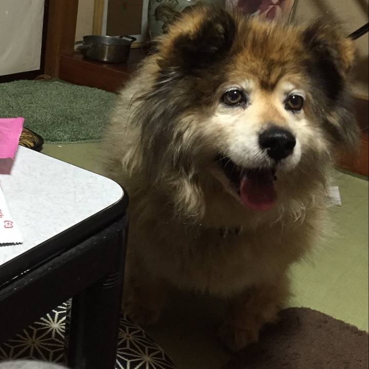 E14c449e 23c8 48f5 9937 4e4002673407 1615424155231