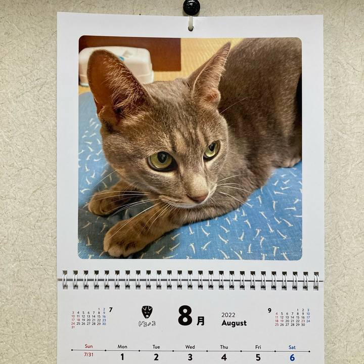 E14c4a68 bfa8 49b9 b4d1 122f134d51f0 1659450163188