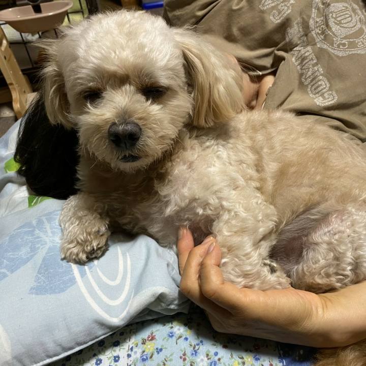 E14c66ca c0e1 440e 9bb5 ff59c5efdb8e 1600611086623