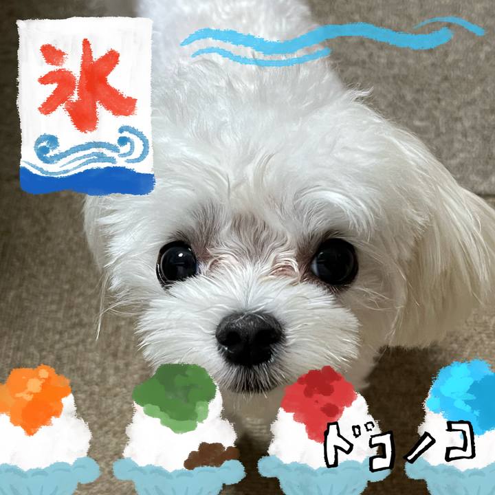 E14c6797 a598 41c0 bae6 a85a2b55eb33 1723289296731