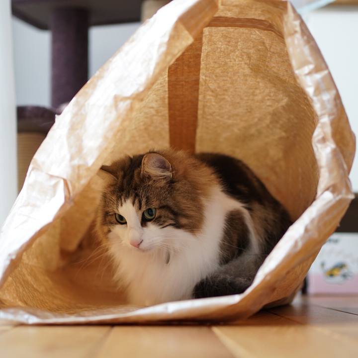 E14c6b1d 1fe0 4a0d b034 f13c769b1128 1579660400236