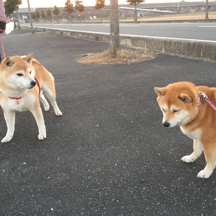 E14c7176 62d9 4dbe 89fa 32573f396cc8 1516276695714