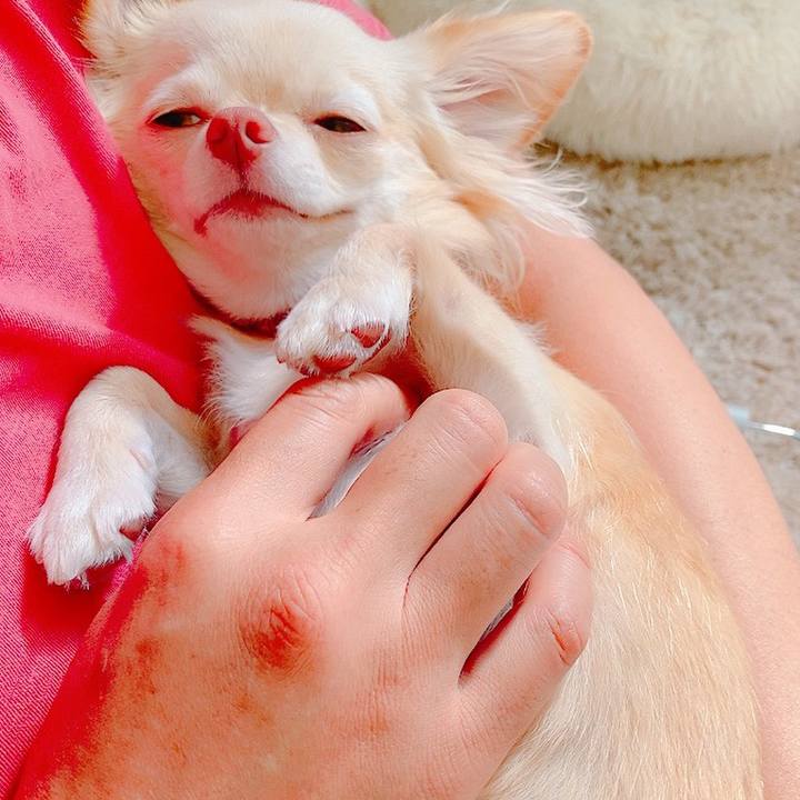 E14cc749 5c2d 4698 a22b d2073c6da5fe 1627789444779