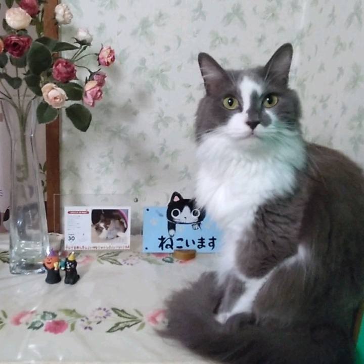 E14ce7ab c2d7 4bd0 83fb a50e99207f2f 1694991986580