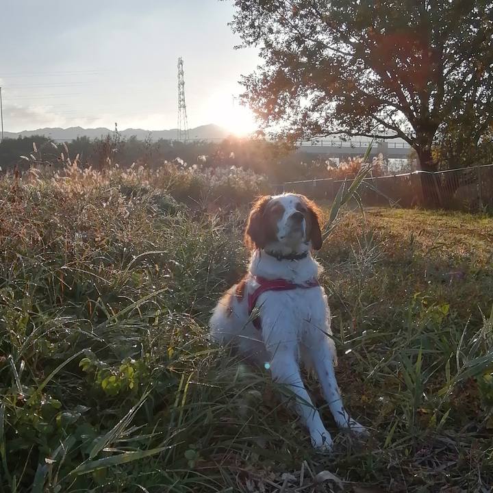 E14ceabb ad90 48c6 883c 54e9d3fc1bfd 1605413283754