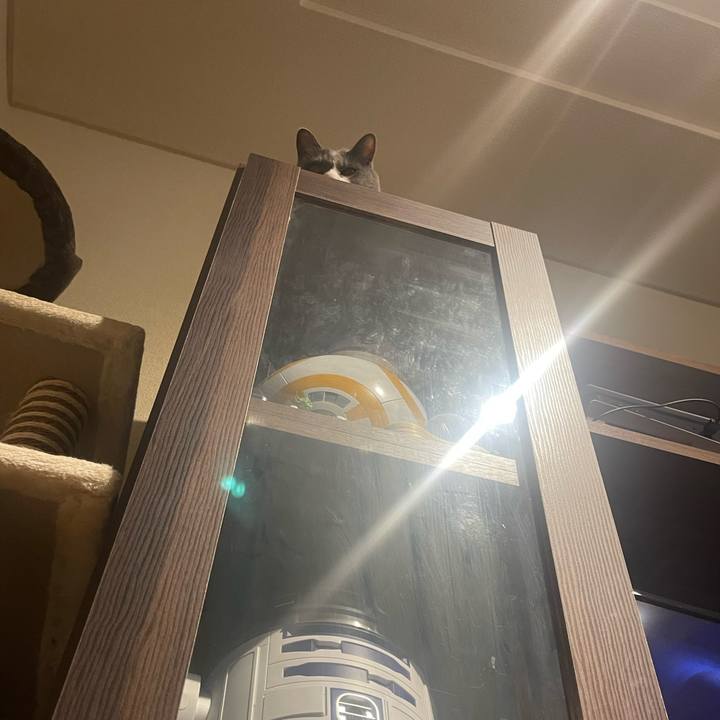 E14d24f8 4d02 47c5 b328 1fd20c4c1f96 1689251353559