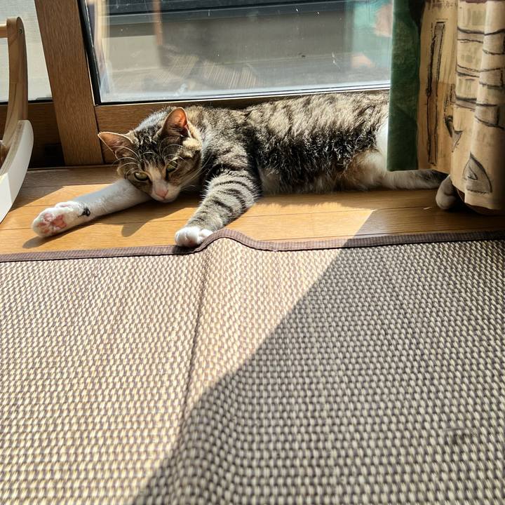 E14d2b5c 3f02 40a3 a340 b238b87cefc7 1731561001571