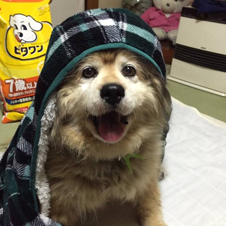 E14d37d3 fb1f 4d37 91bc c9044add6586 1582861417999