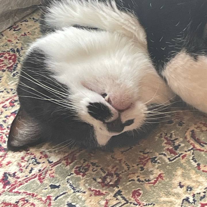 E14d5430 7f63 4627 8ffe b26fad17e3f4 1722211136652