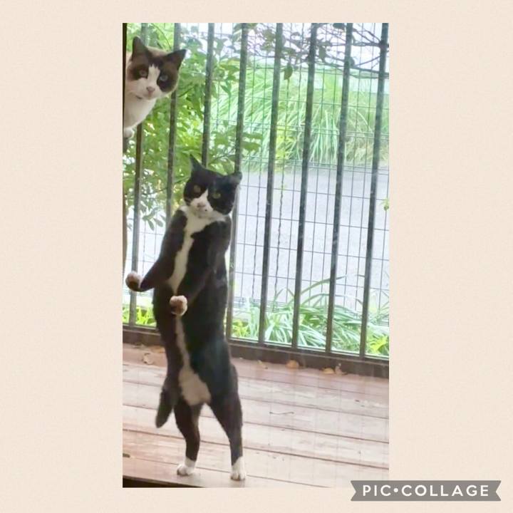 E14daf02 d4a3 47c9 9697 b8c21eb8067e 1747915347972