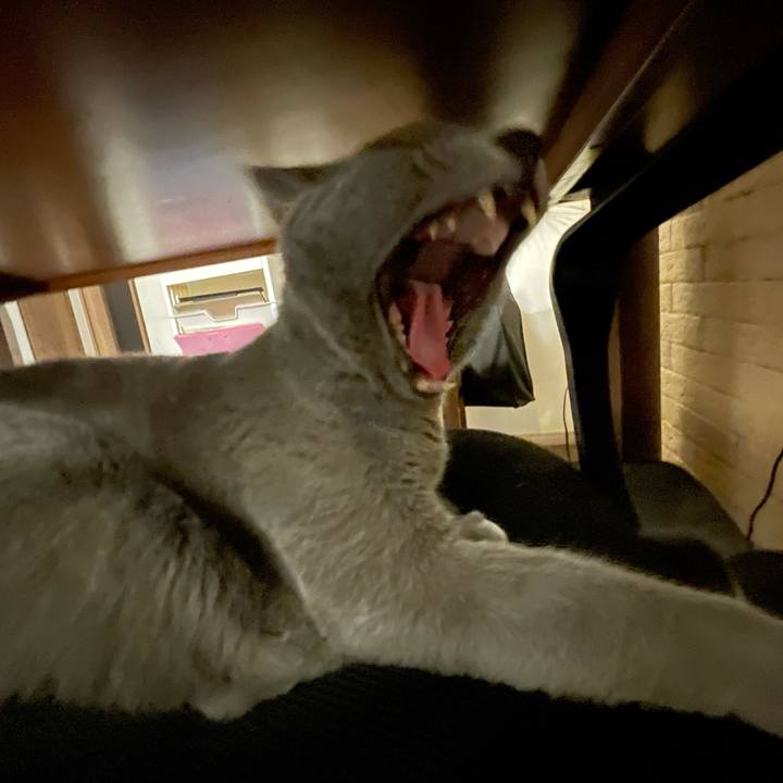 E14db97d 0154 463b b523 57b6b0c800e1 1736206566207