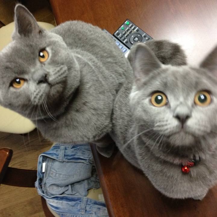 E14e356d d01a 479b 8b01 a3658c1b4418 1773480550400