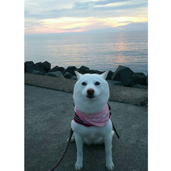 E14e55af 4091 4708 95cb 264eec1fb709 1531739512655