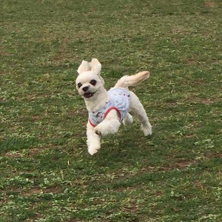 E14e6bca 273b 4049 8712 2c7cf585d264 1538363351291