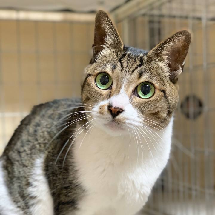 E14e73ee 967b 4f87 9b0f d831e36f86de 1585013344204