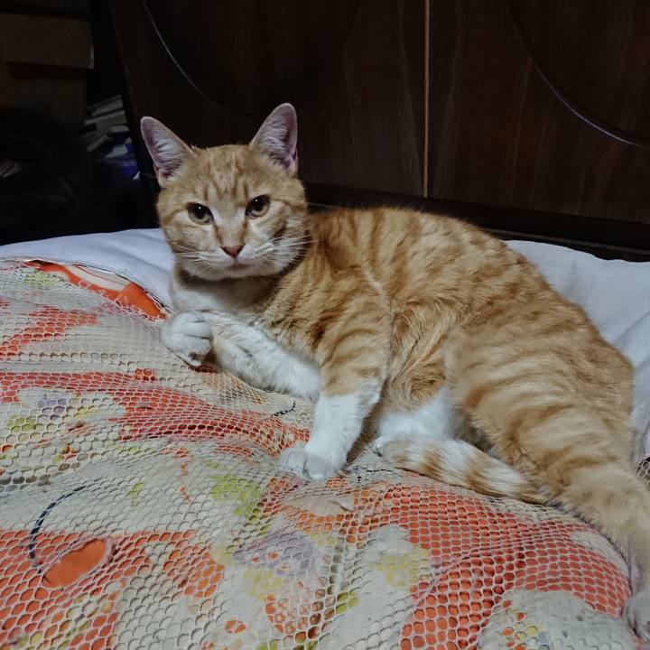 E14e93a0 7c34 4f5a 8fc2 6c9e0df1e65b 1585310342966