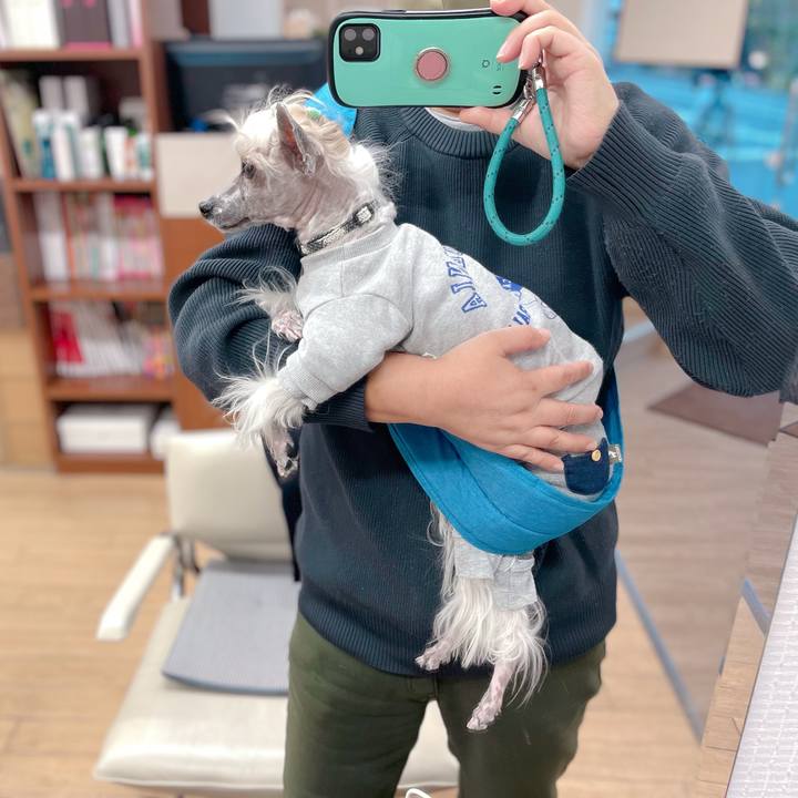 E14e96db f2b7 4679 abc1 d6343688cc11 1764322317722