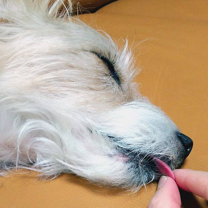 E14eb213 daf9 4128 8e14 83f06d361ff7 1584881974363