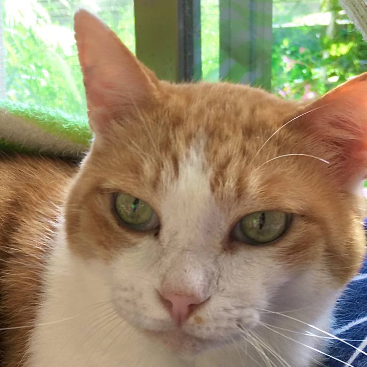 E14ecbf6 5bb7 43a2 b853 1c9f6715e714 1601712861536