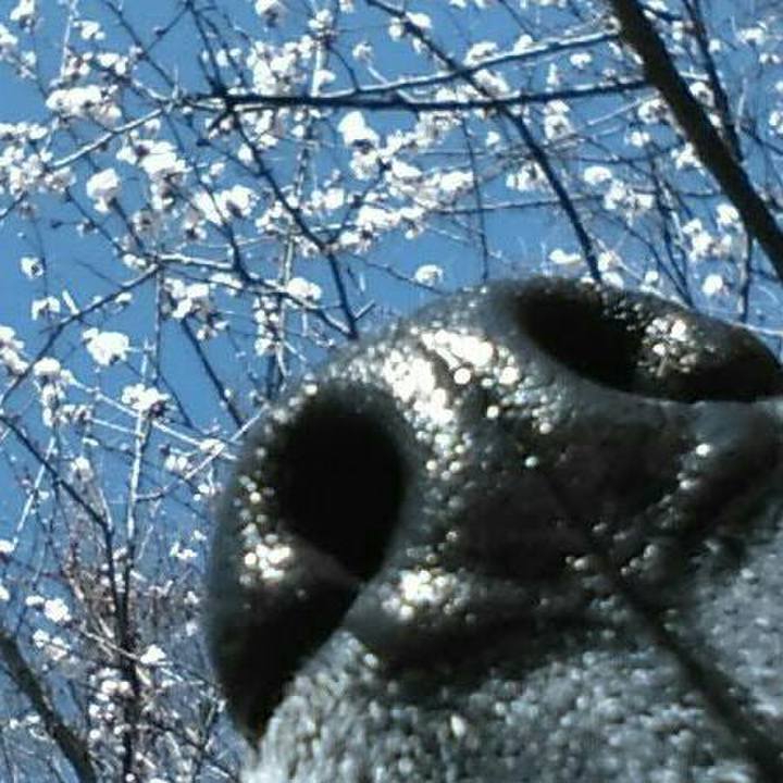 E14ee11e f4e1 4adf 9089 b69a48908d7d 1521179378039