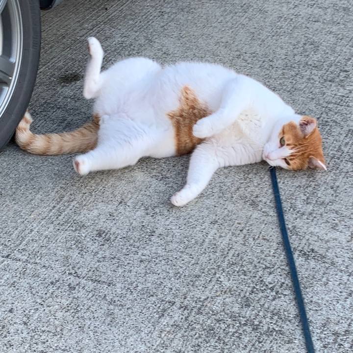 E14ee62c 8a31 42f6 bf05 511073f756c8 1566772013713