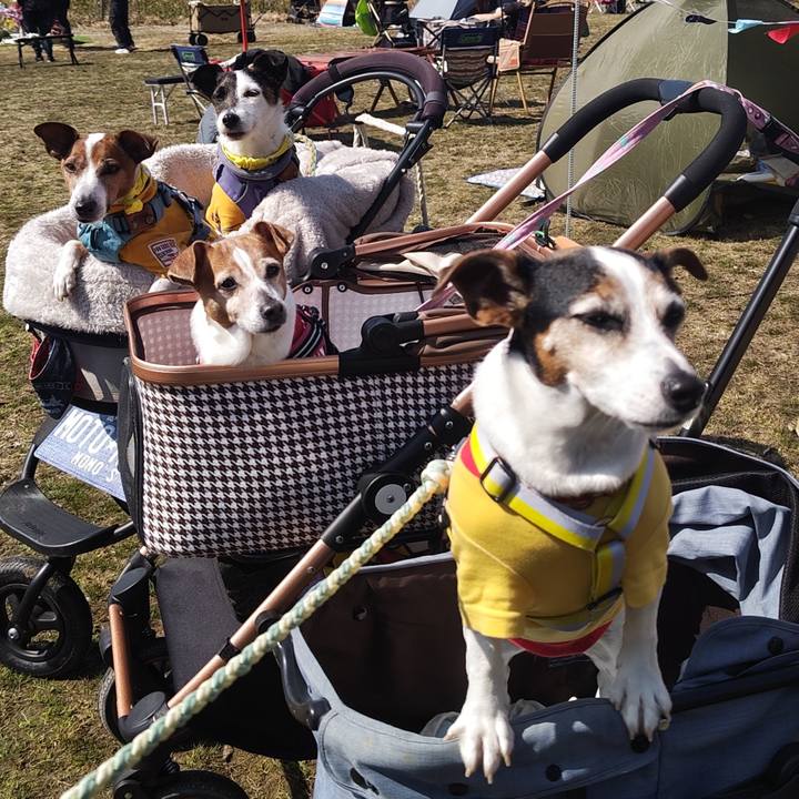 E14eff62 60f4 49d6 8f14 d7fc23783ce4 1742635702401