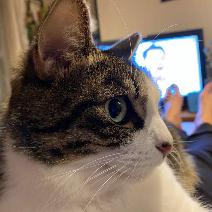 E14f0b22 3ea3 4d98 9d0d 45236011792d 1577083421747