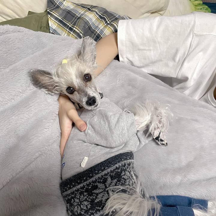 E14f360f 233b 432d a67c 4ab06fa44fe7 1761471522394