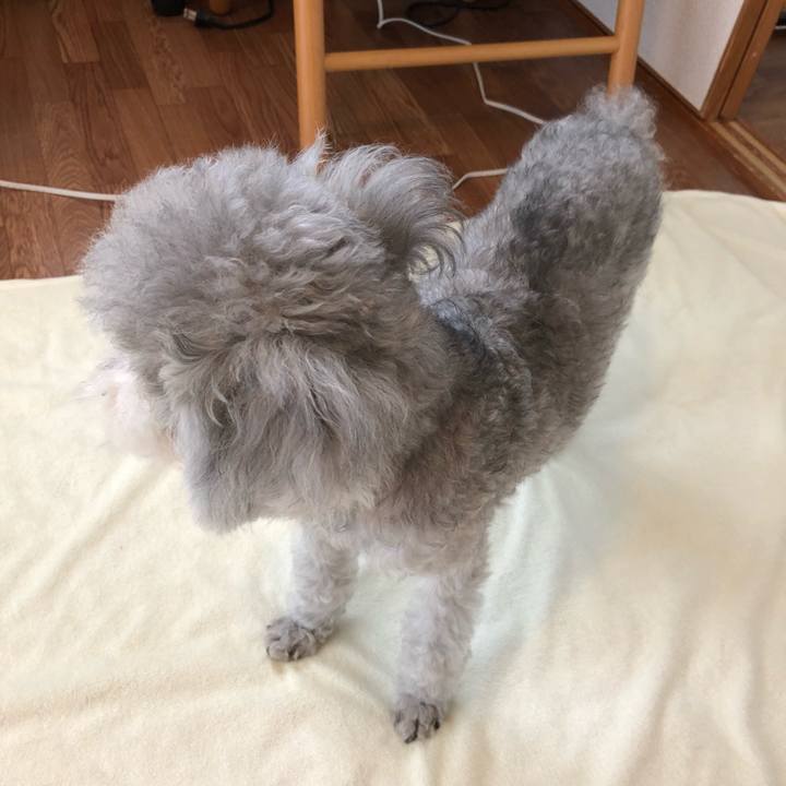 E14ff207 e410 4ebe 888a 9b84267fa795 1530574765028