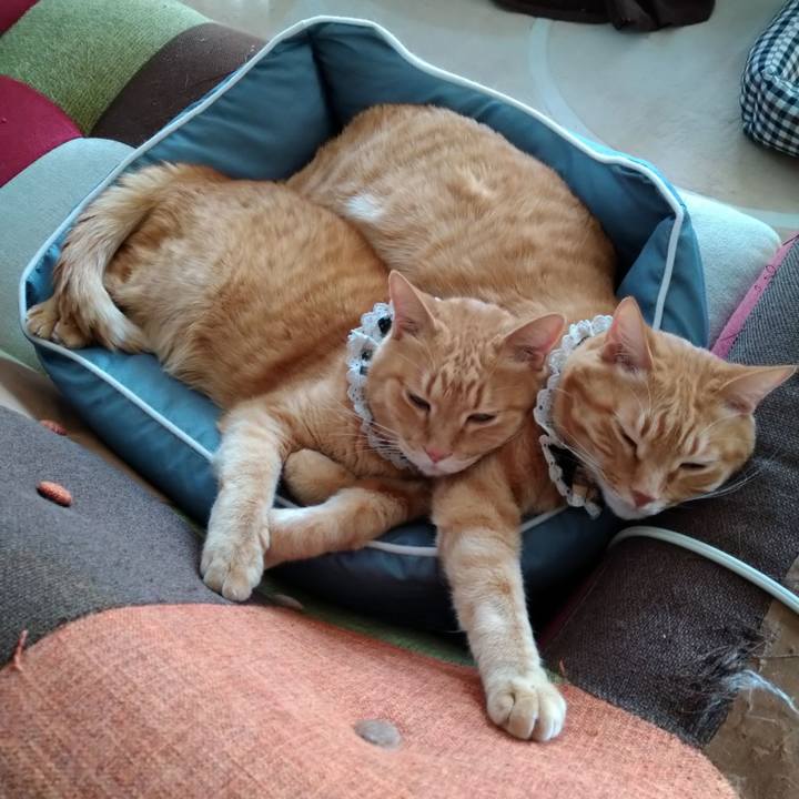 E1501a95 990f 41e1 a6b6 70275592df81 1611041689636