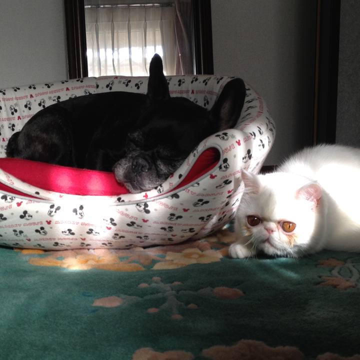 E1503330 a00f 49eb 9dc4 6ce73f43e302 1546416737939