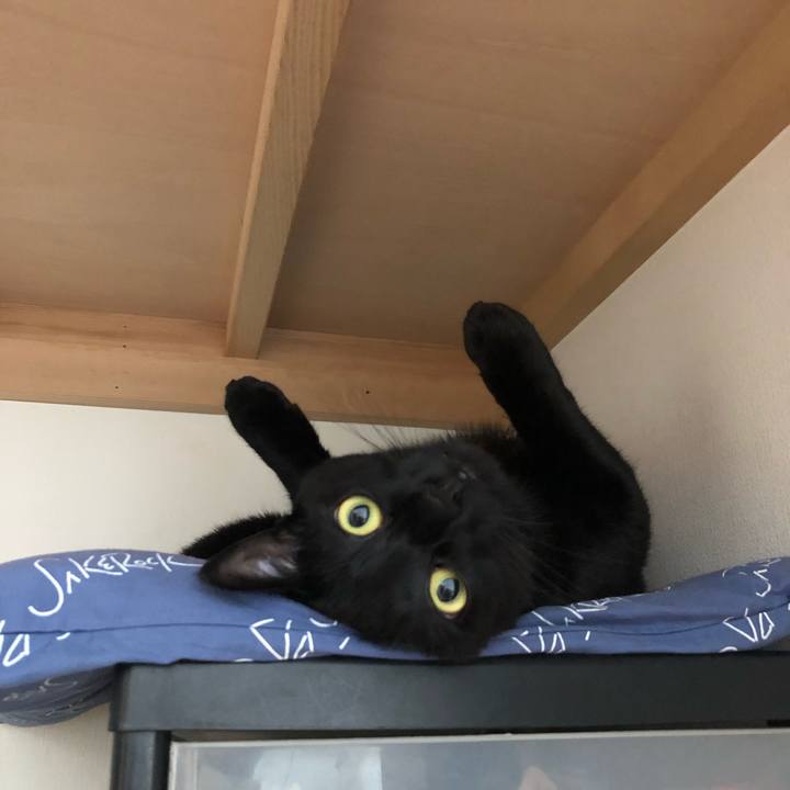 E150a051 390a 41ef 9225 4f1e5540afd2 1559176317733